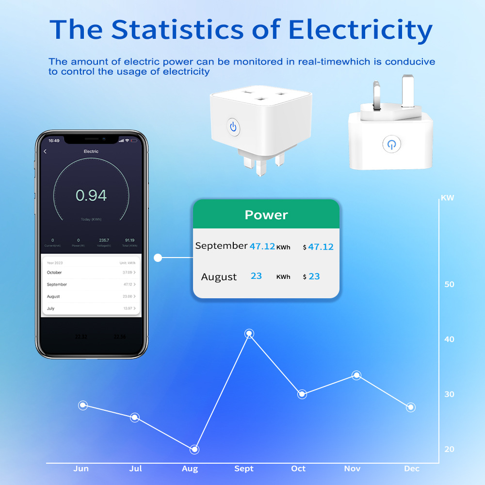 Tuya Smart Socket 16A/20A WiFi - Travel Accessories Uk avis et prix